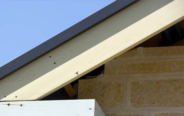 Ashbocking fascia repairs