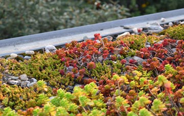 the cost of Ashbocking green roof installation