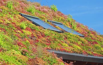 Ashbocking living roof systems