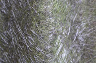 Ashbocking fibreglass roof work